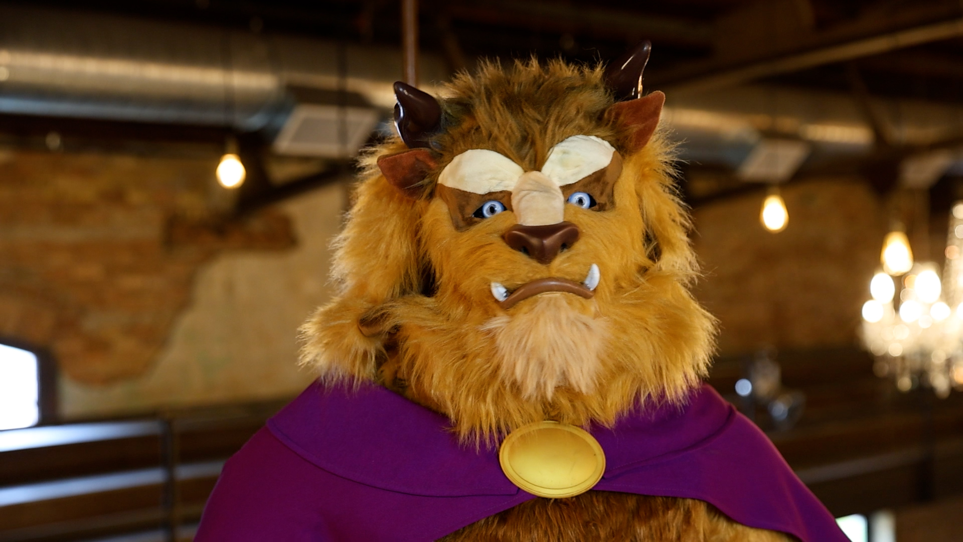 FUN94801AD Men's Authentic Caped Disney Beast Costume